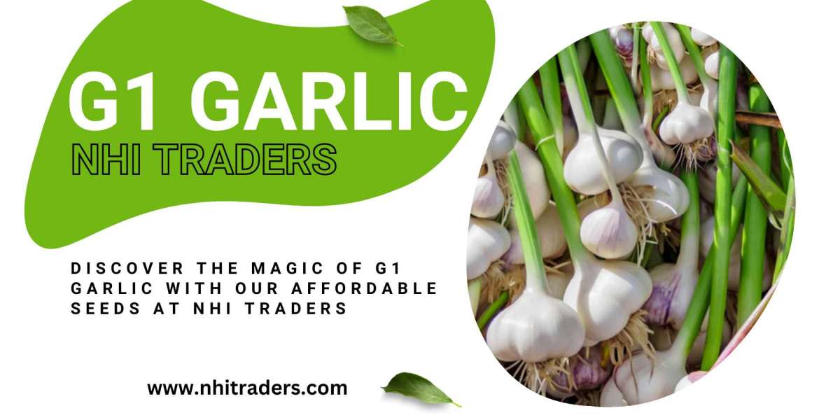 Unlocking the Potential of G1 Garlic Seeds: NHITRADERS Paving the Way for Farmers and Markets in Pakistan