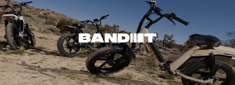 Bandit Bikes Cover Image