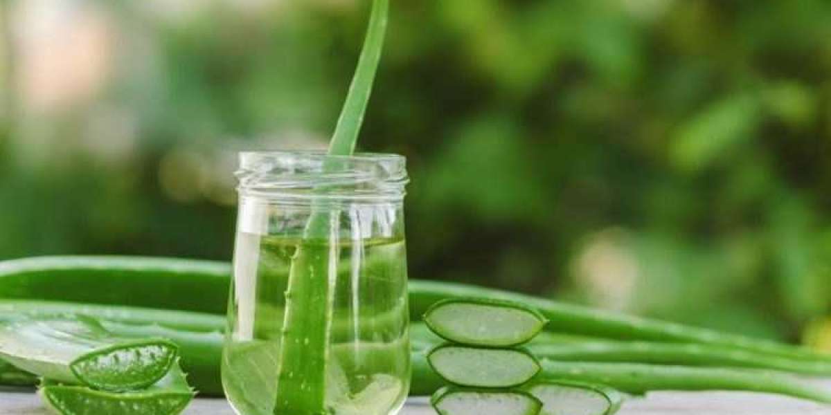 Aloe Vera Extract Market Report: Insights and Market Dynamics