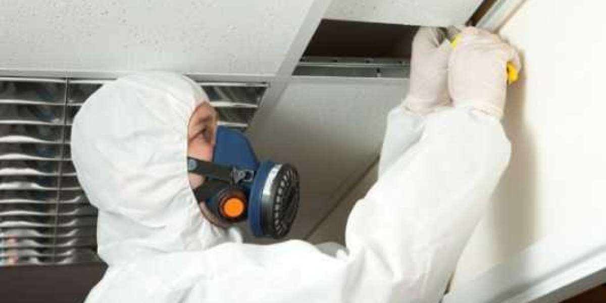 The Hidden Dangers: Why You Need Asbestos Testing