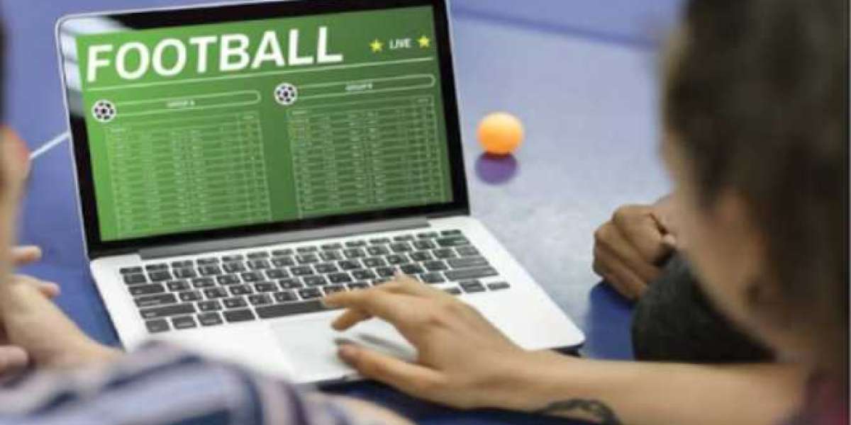 What Do Bookmakers Base Their Odds On for Players to Participate?