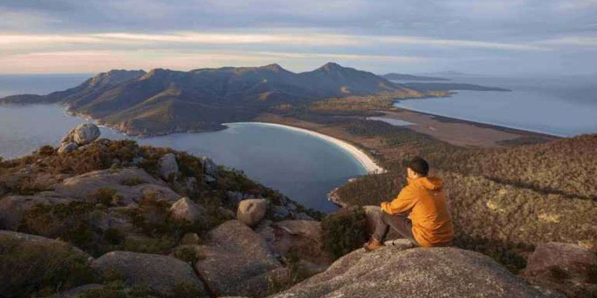 Exploring Tasmania: The Ultimate Guide to Small Group Wildlife Tours