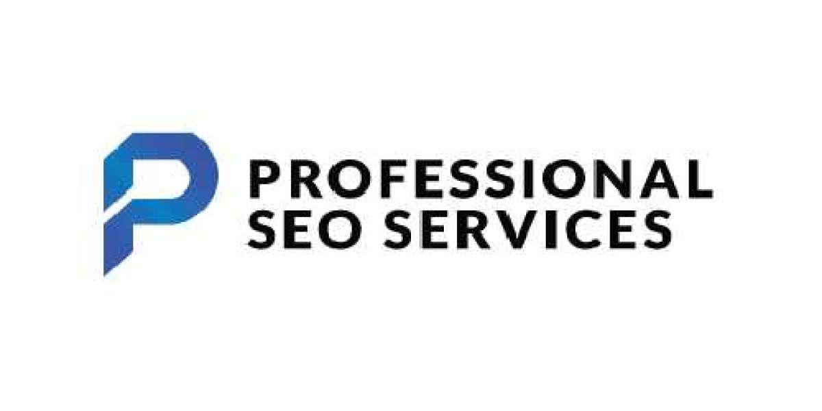 Professional SEO Services in Pakistan: Unlocking the Digital Potential